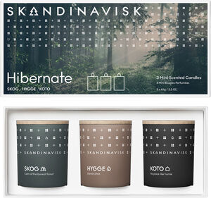 HIBERNATE Mini Candle Giftset 65g x 3