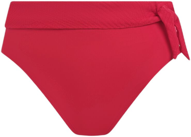 OTTAWA HIGH WAIST BIKINI BRIEF