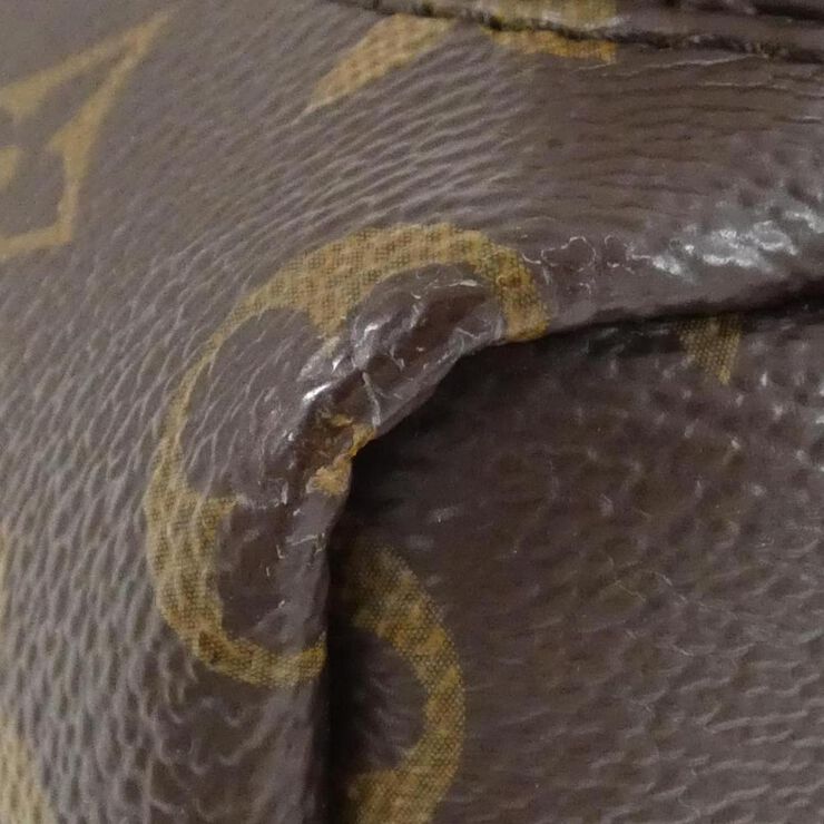 Louis Vuitton Palm Springs