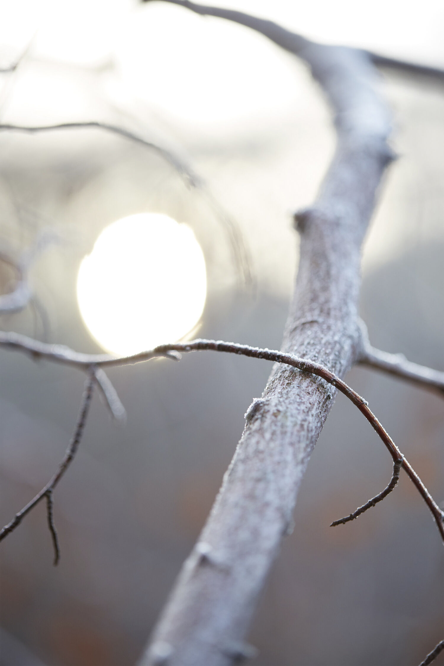 Maison Margiela Replica By the Fireplace