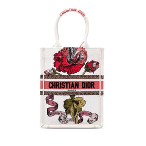 Dior Book Tote