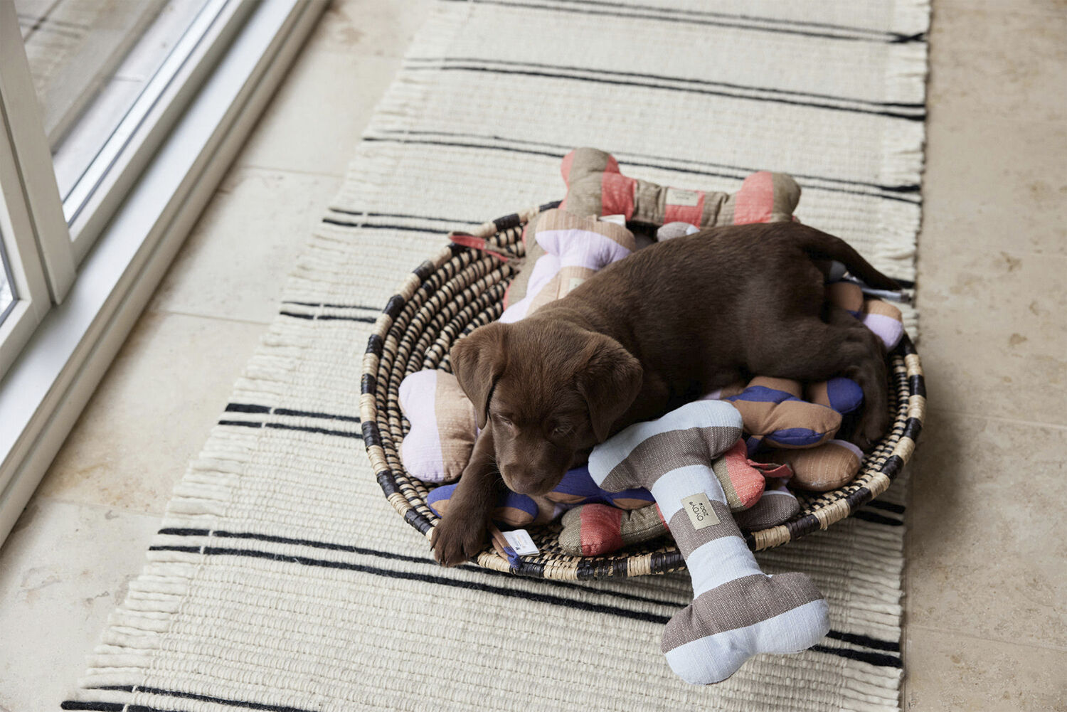 Ashi Hundeleget&oslash;j - Stor