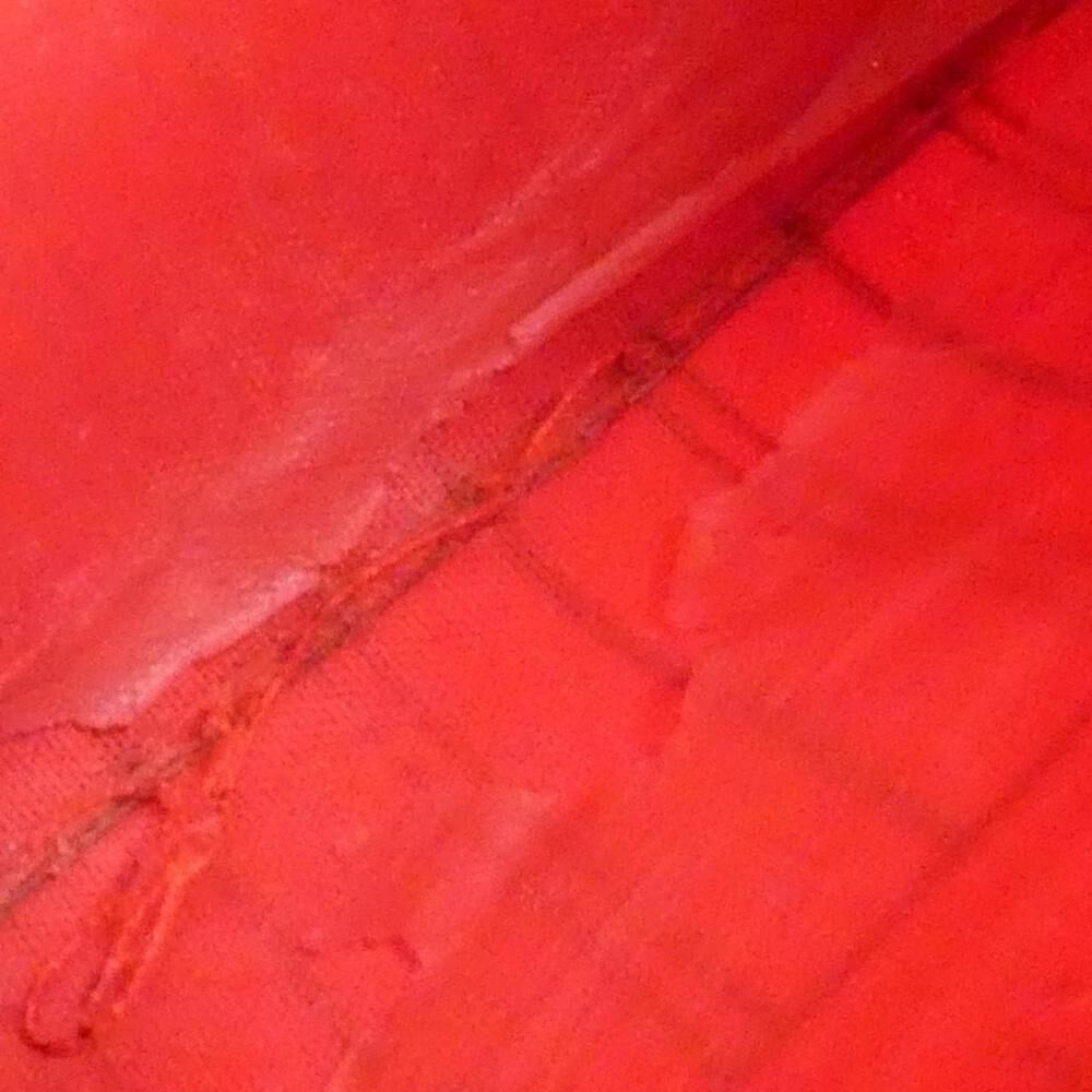 Louis Vuitton Neverfull