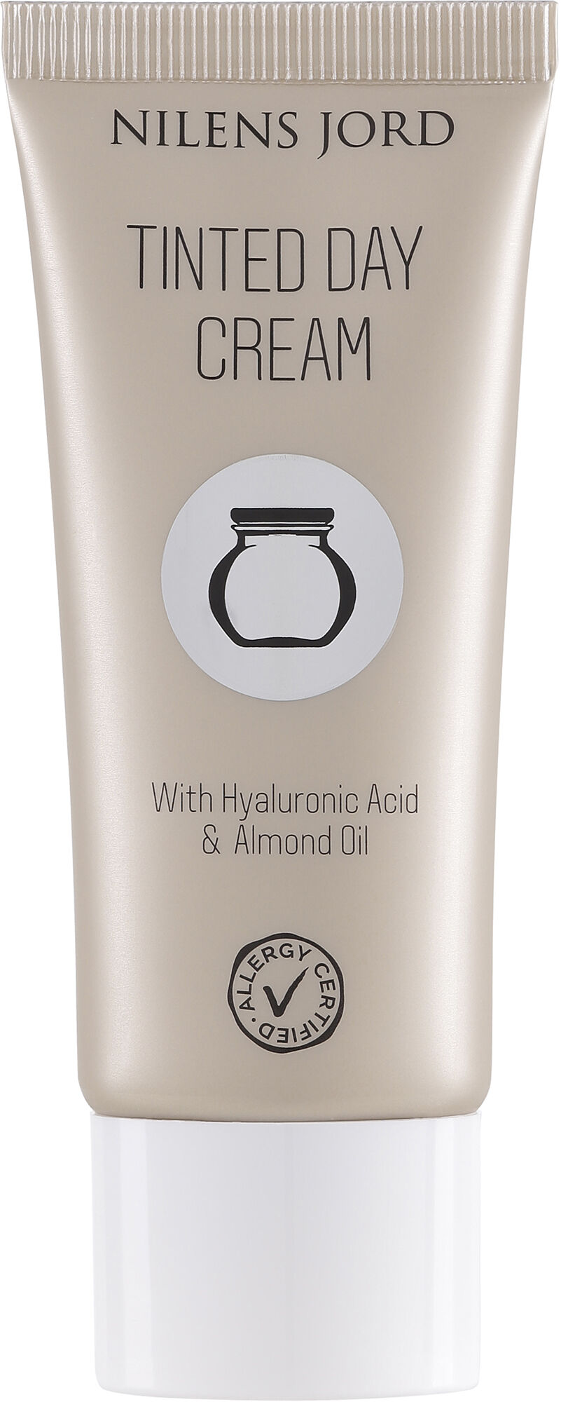 Tinted Day Cream