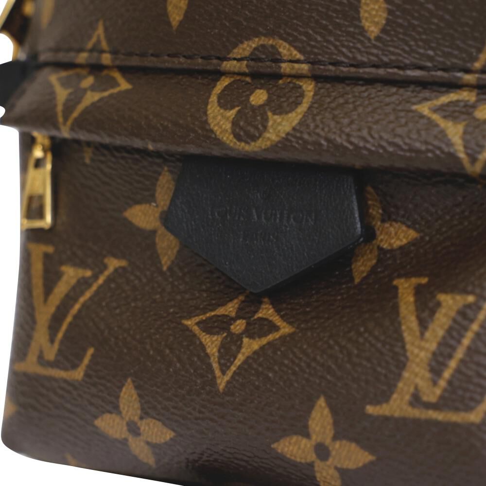 Louis Vuitton Backpack