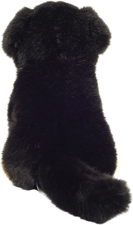 Teddy Hermann - Siddende Berner Sennen 21 cm