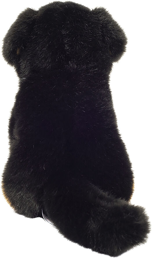 Teddy Hermann - Siddende Berner Sennen 21 cm