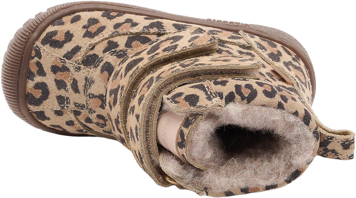 Bisgaard Ellis Tex