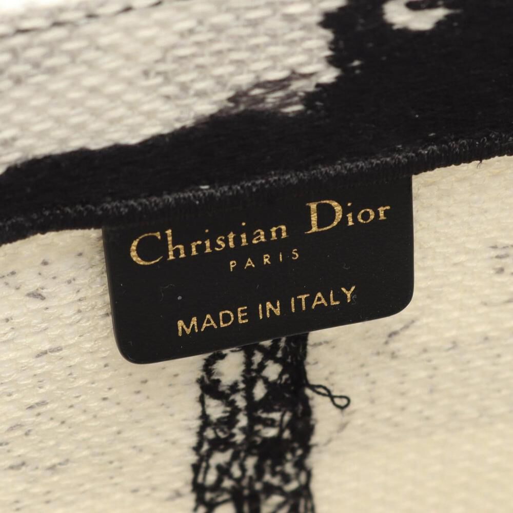 Dior Book Tote