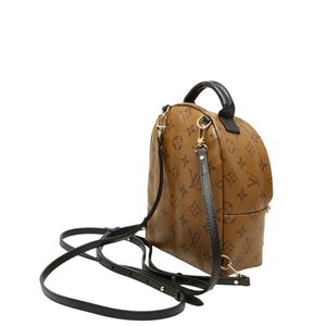 Louis Vuitton Palm Springs