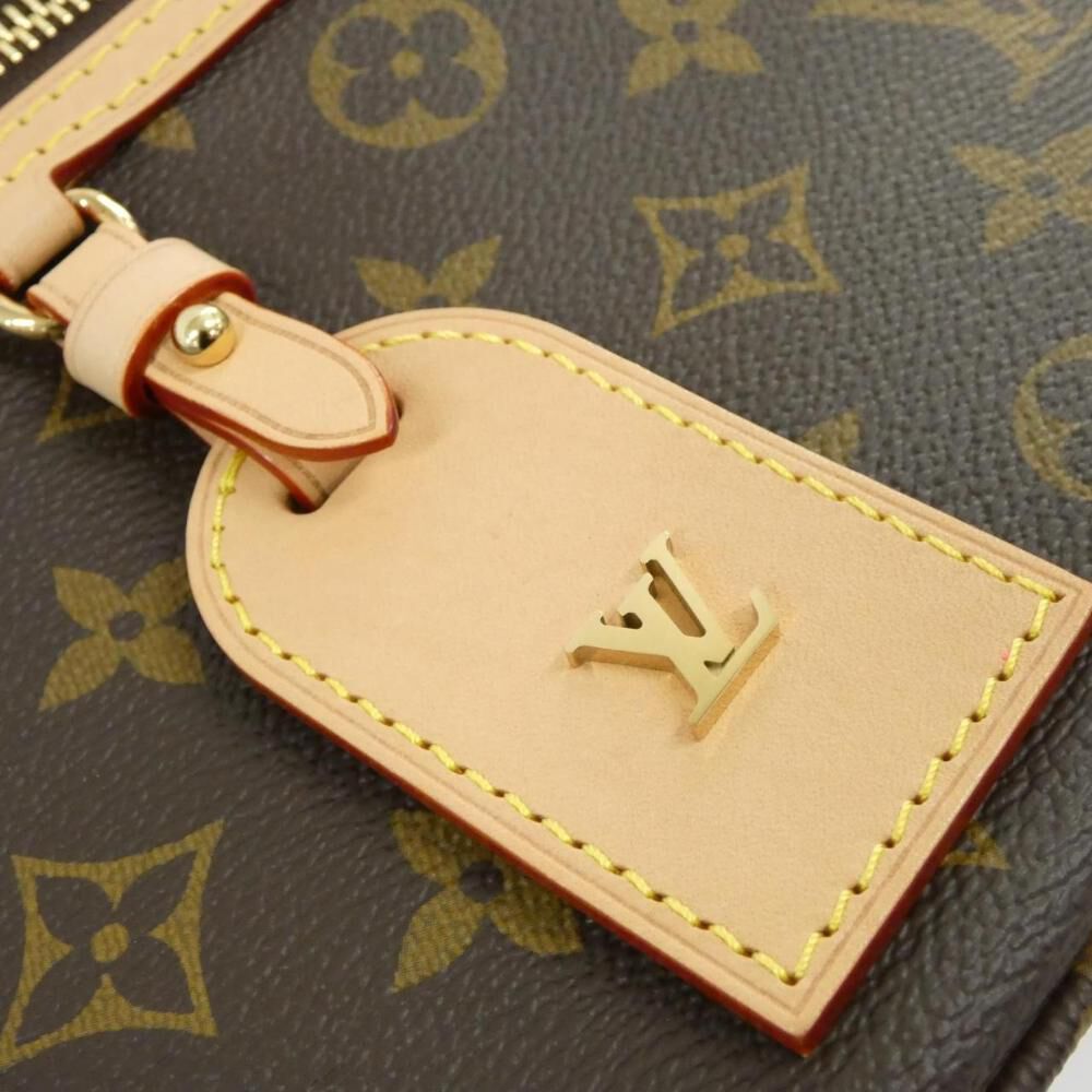 Louis Vuitton Bumbag