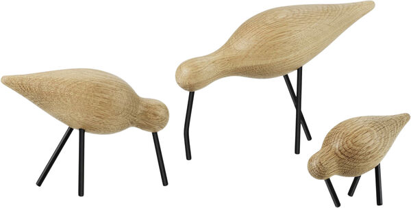 Shorebird mellan svart