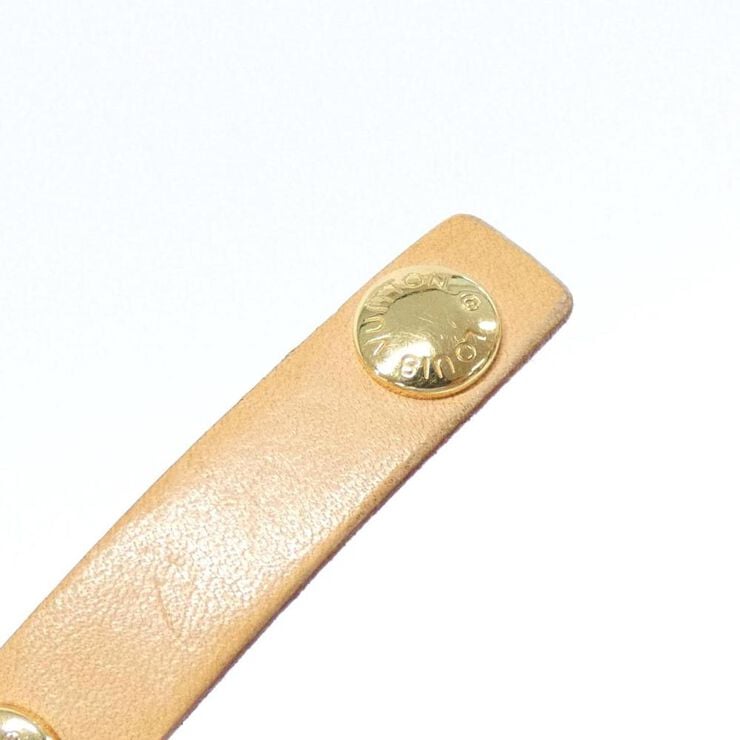 Louis Vuitton Florentine Pochette