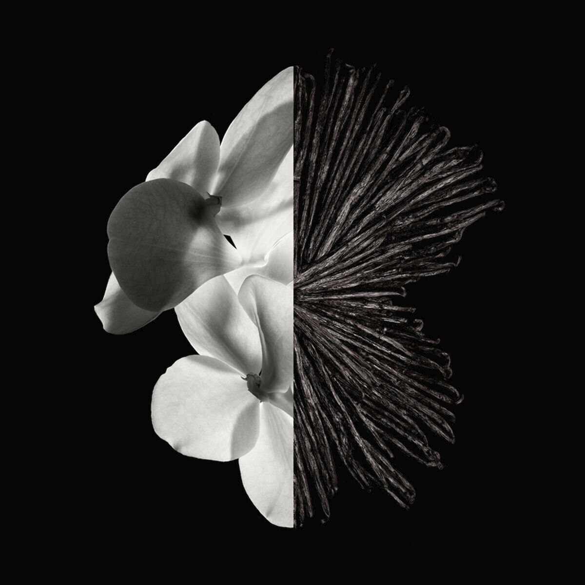 Gentleman Eau deParfum