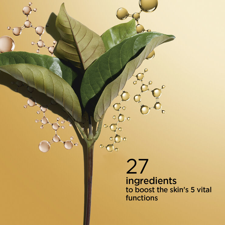 Double Serum All skin types