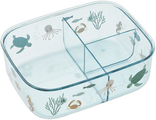 Arthur Tritan Lunchbox