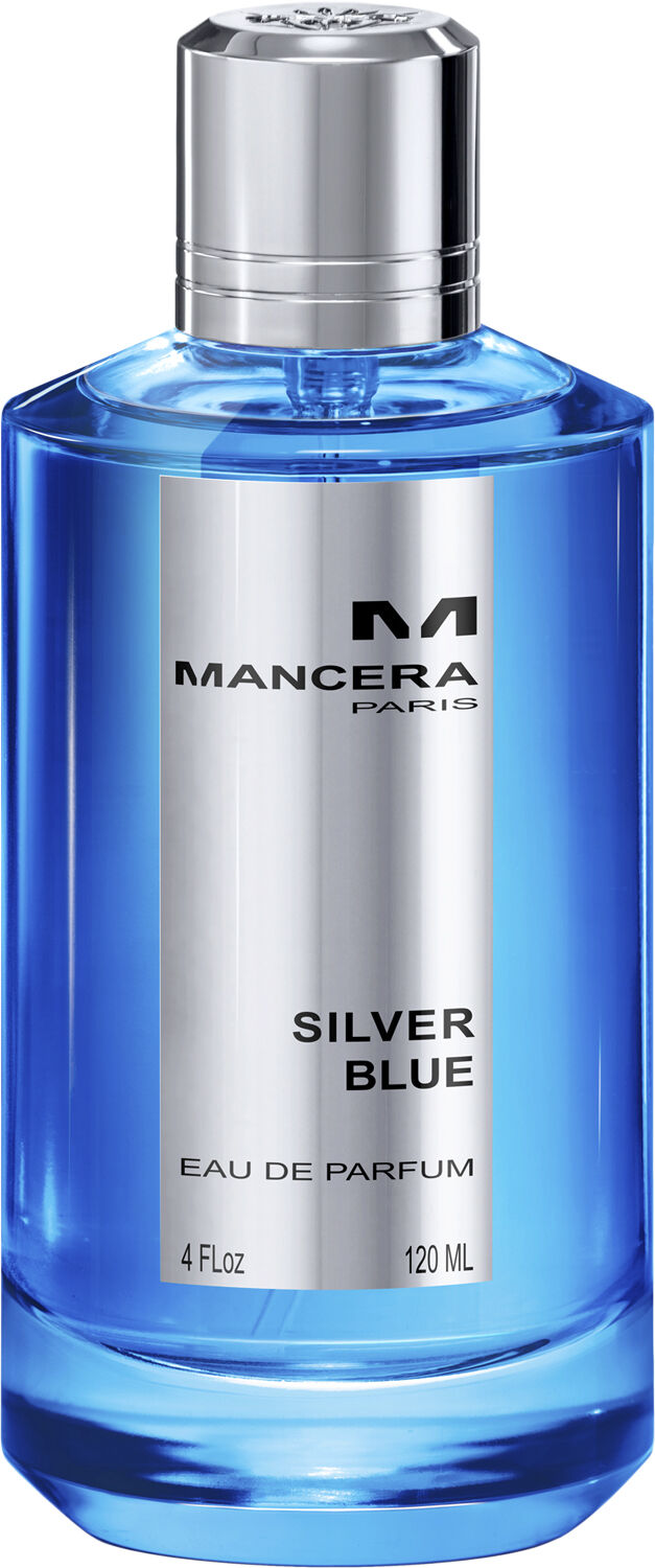 Silver blue Eau de Parfums 120 ml