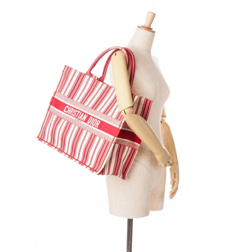 Dior Book Tote