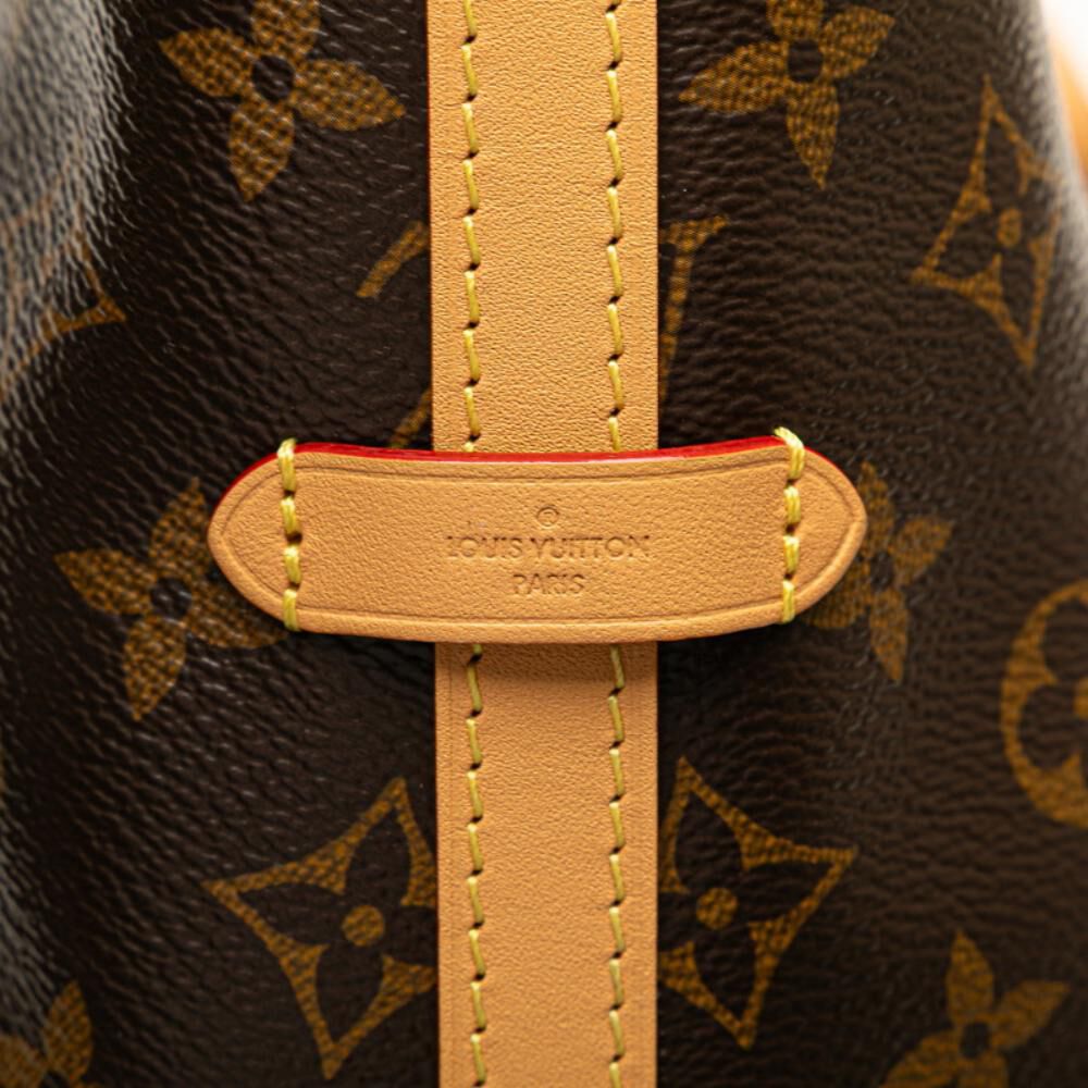 Louis Vuitton Shoulder Bags