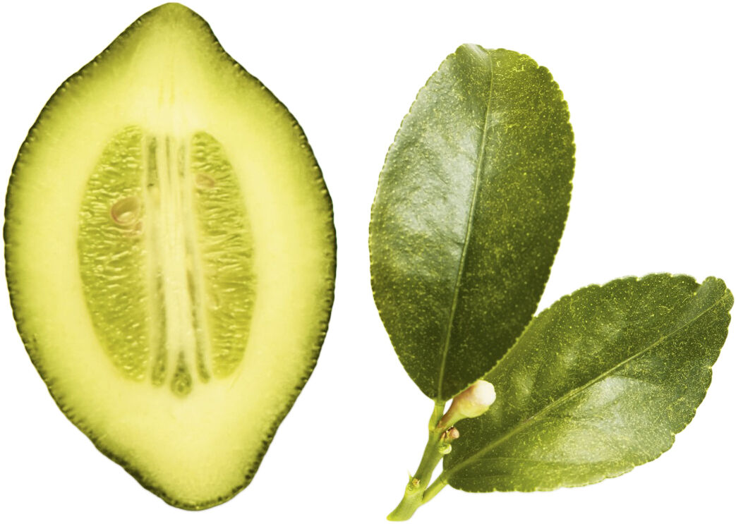 Giorgio Armani Acqua di Gioia Eau de Parfum