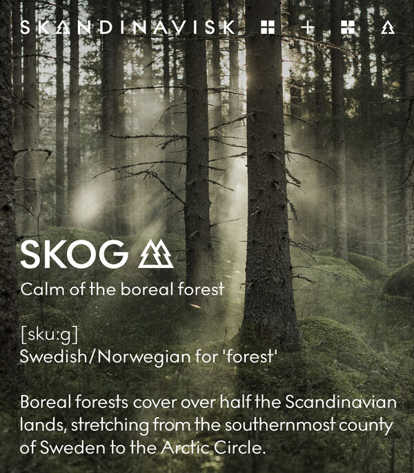 HIBERNATE Mini Candle Giftset 65g x 3