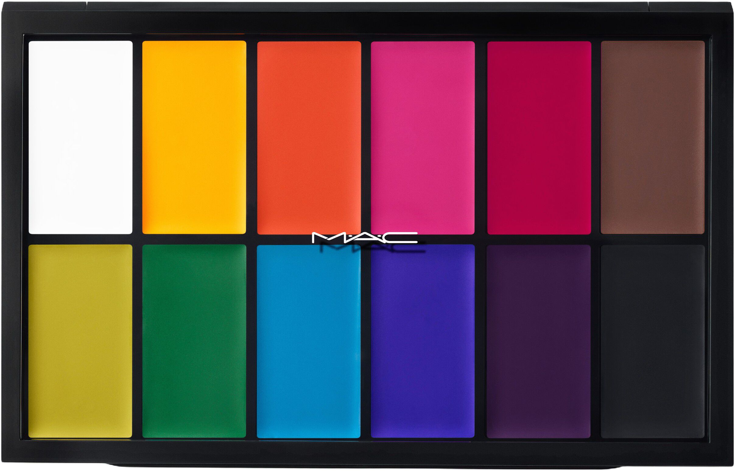 Painstick X 12 Palette