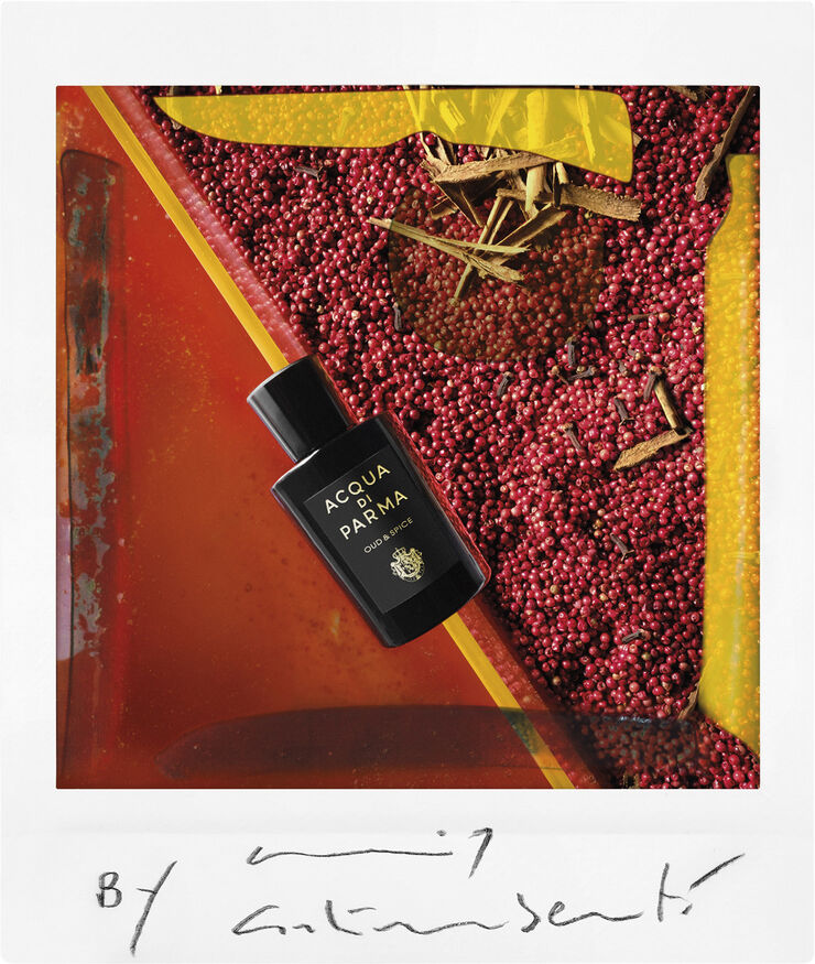 SIGNATURE OUD&SPICE EDP 100 ML