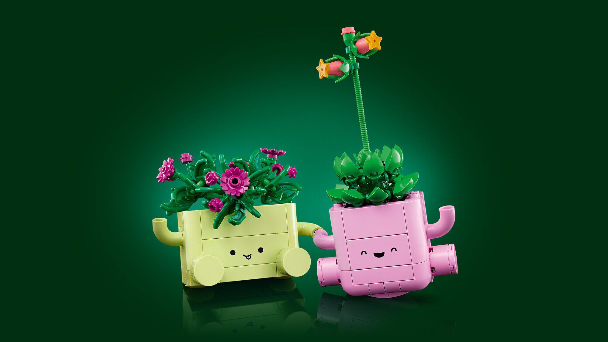 11506 Vippeplanter