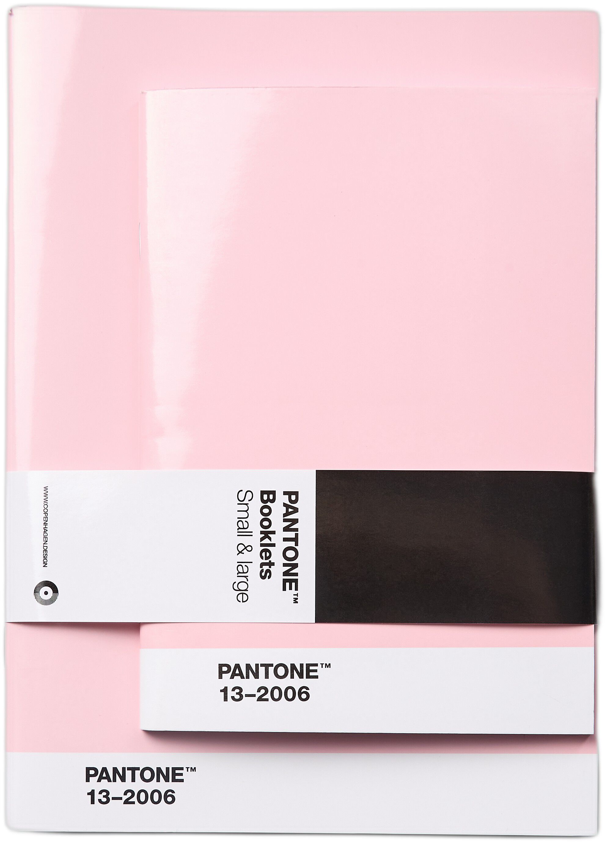 Pantone BOOKLETS SET OF 2 DOTTED - Light Pink