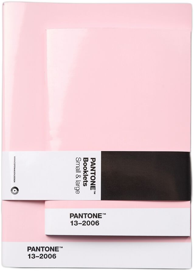Pantone BOOKLETS SET OF 2 DOTTED