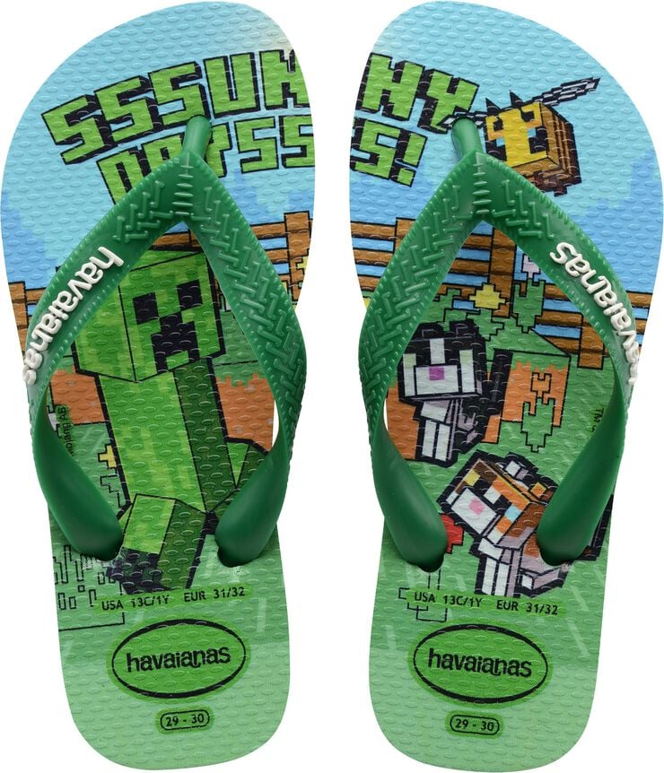 Hav. Kids Minecraft