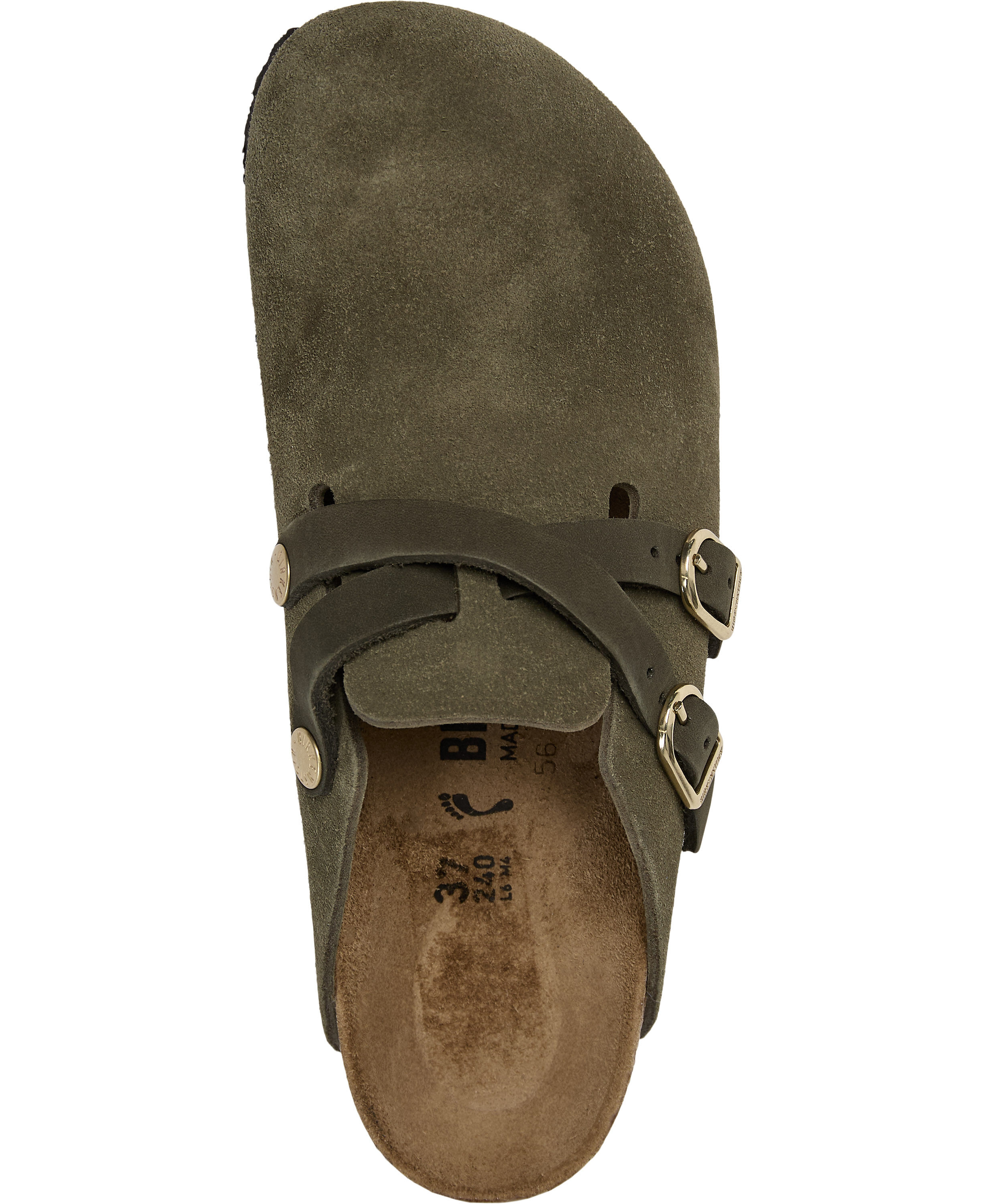 Blair D-Buckle LEVE Thyme