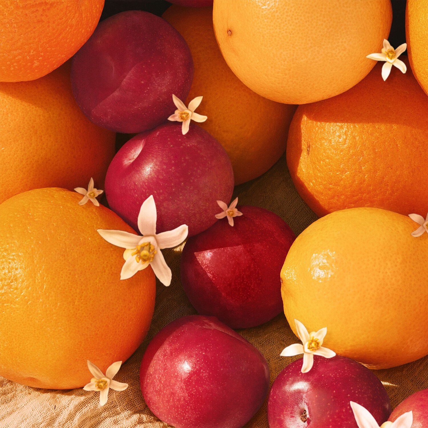 Cheeky Biqu&iacute;ni Perfume Mist - Doftmist f&ouml;r kropp & h&aring;r