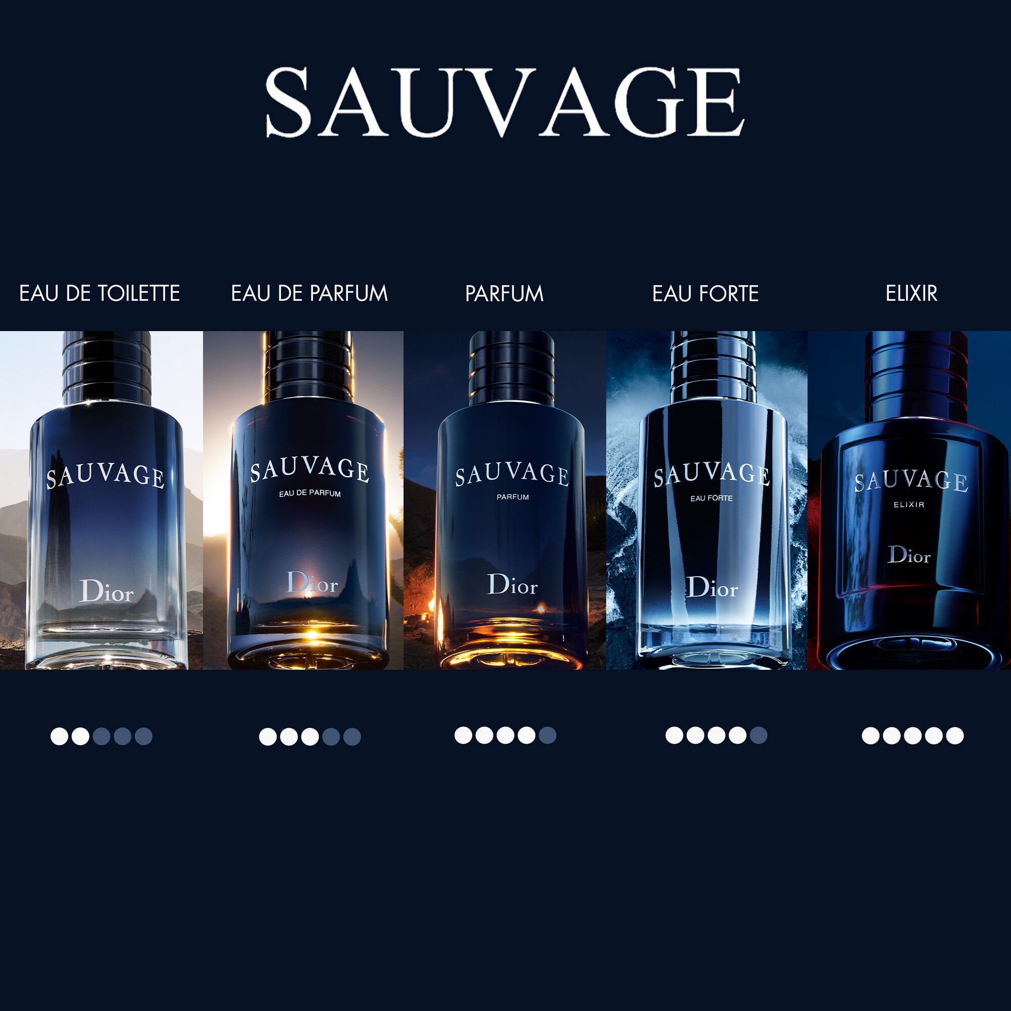 Sauvage Parfums Travel Spray 30ML INT25