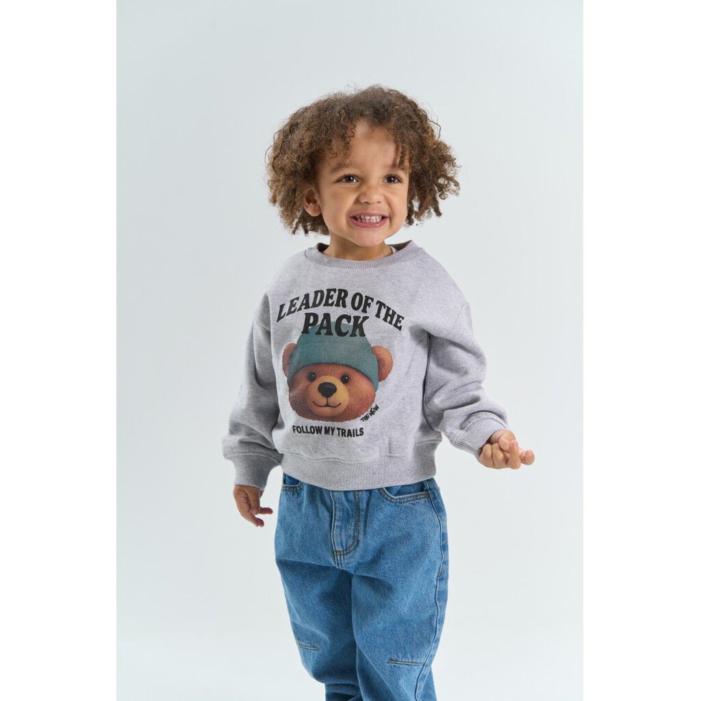 Sweatshirt fr&aring;n Tnstyvan Os