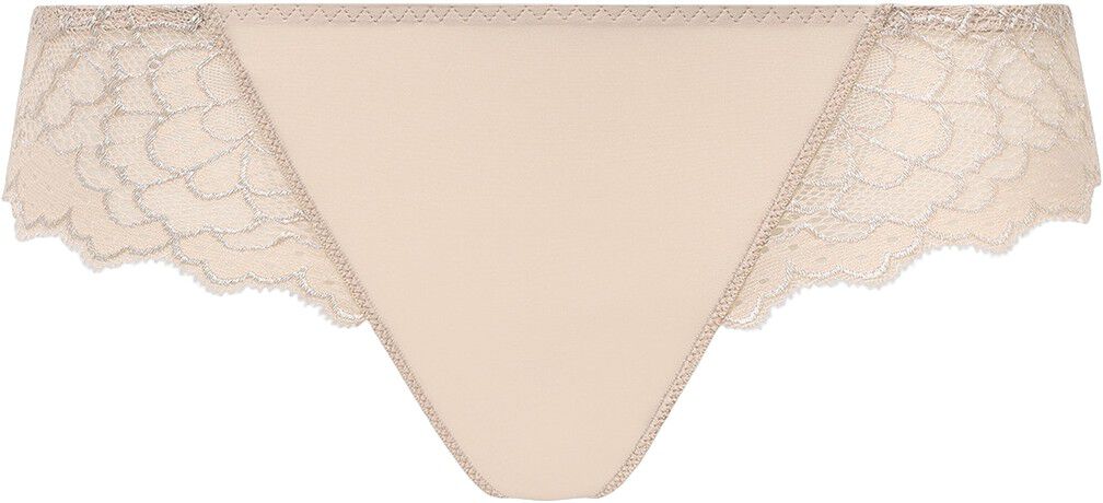 CARESSE Brief