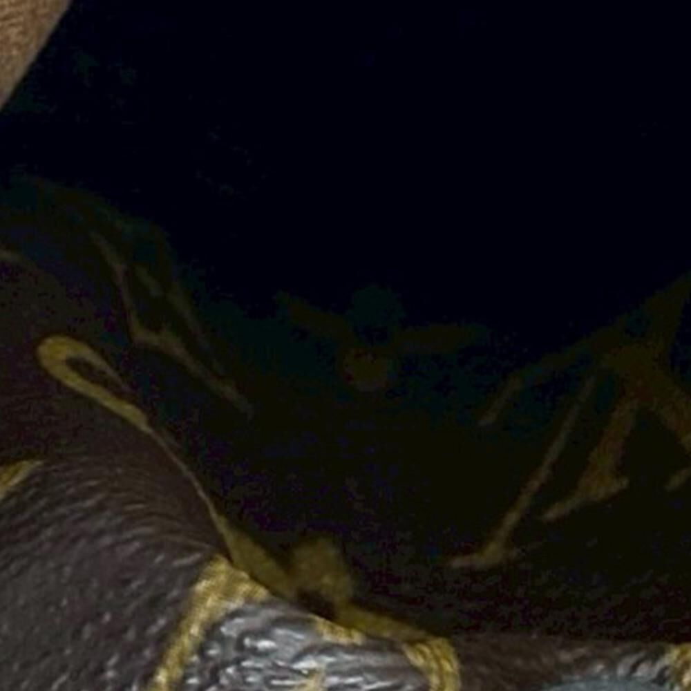 Louis Vuitton Totally
