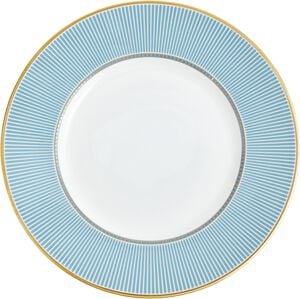 HELIABL Plate 22. 8cm 8. 9in BLU