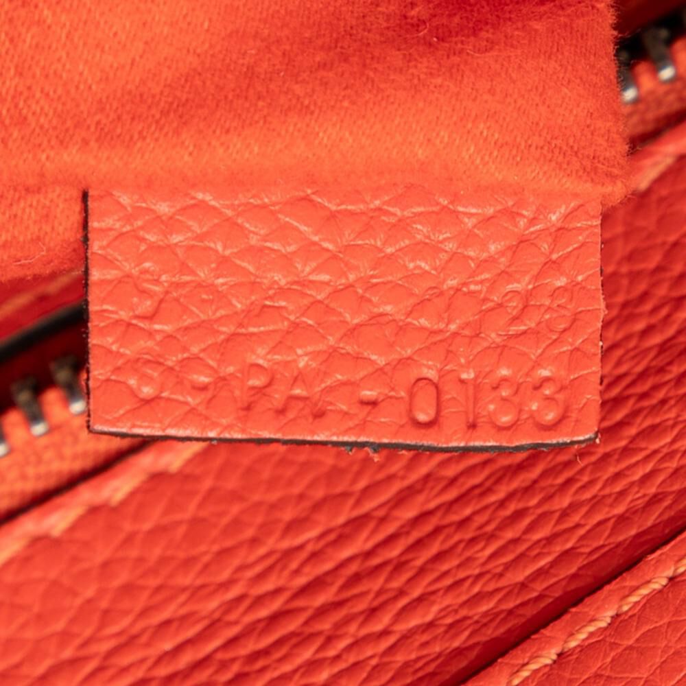 Celine Luggage