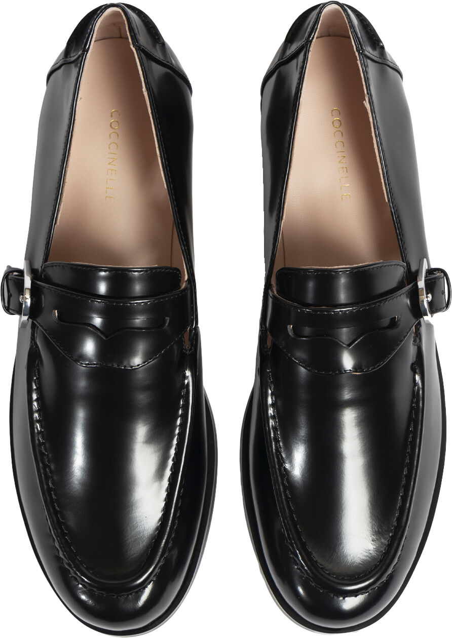 COCCINELLELORD SHINY