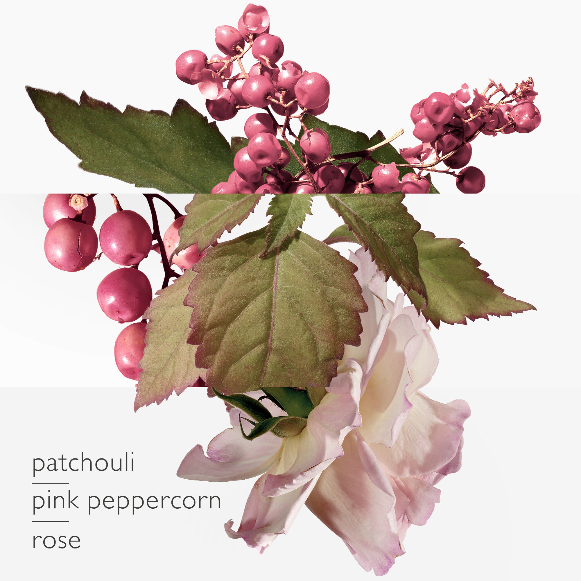 TWILLY D'HERM&Egrave;S EAU POIVR&Eacute;E EAU DE PARFUM