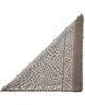 Triangle Annye