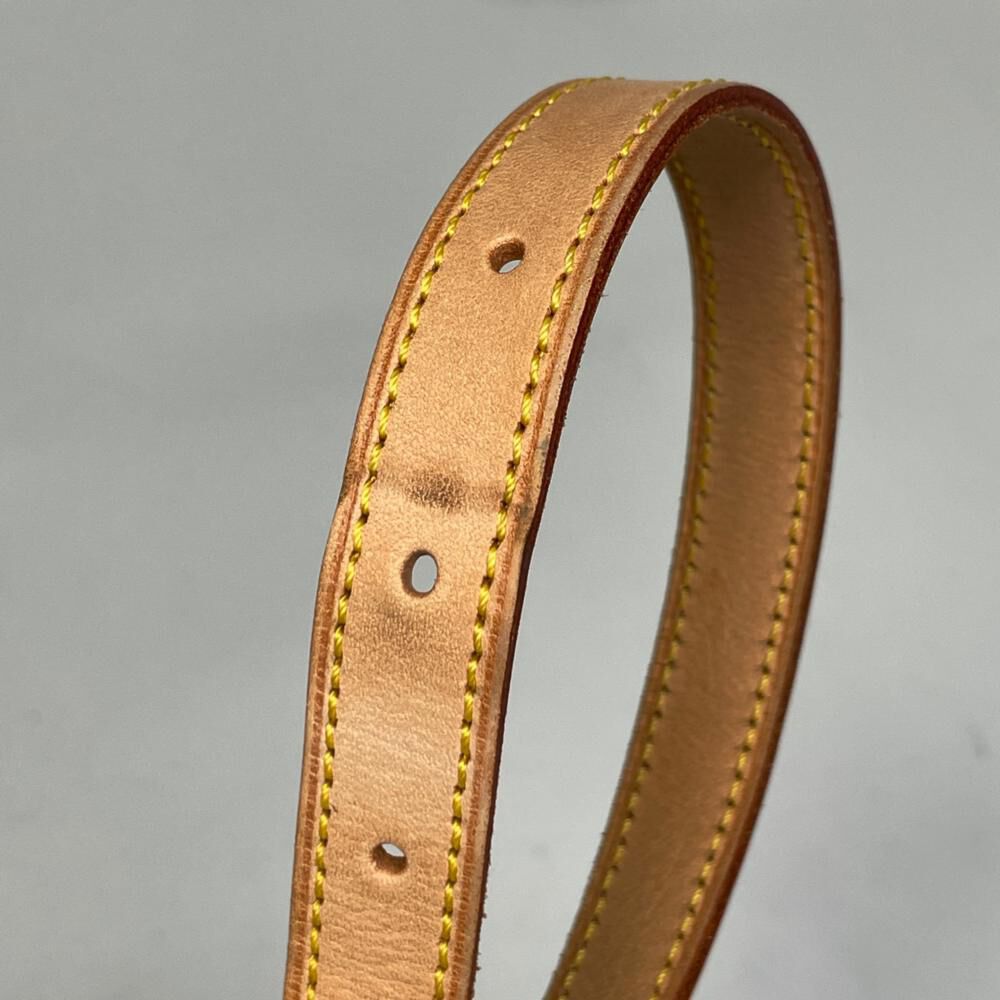 Louis Vuitton Crossbody Bag