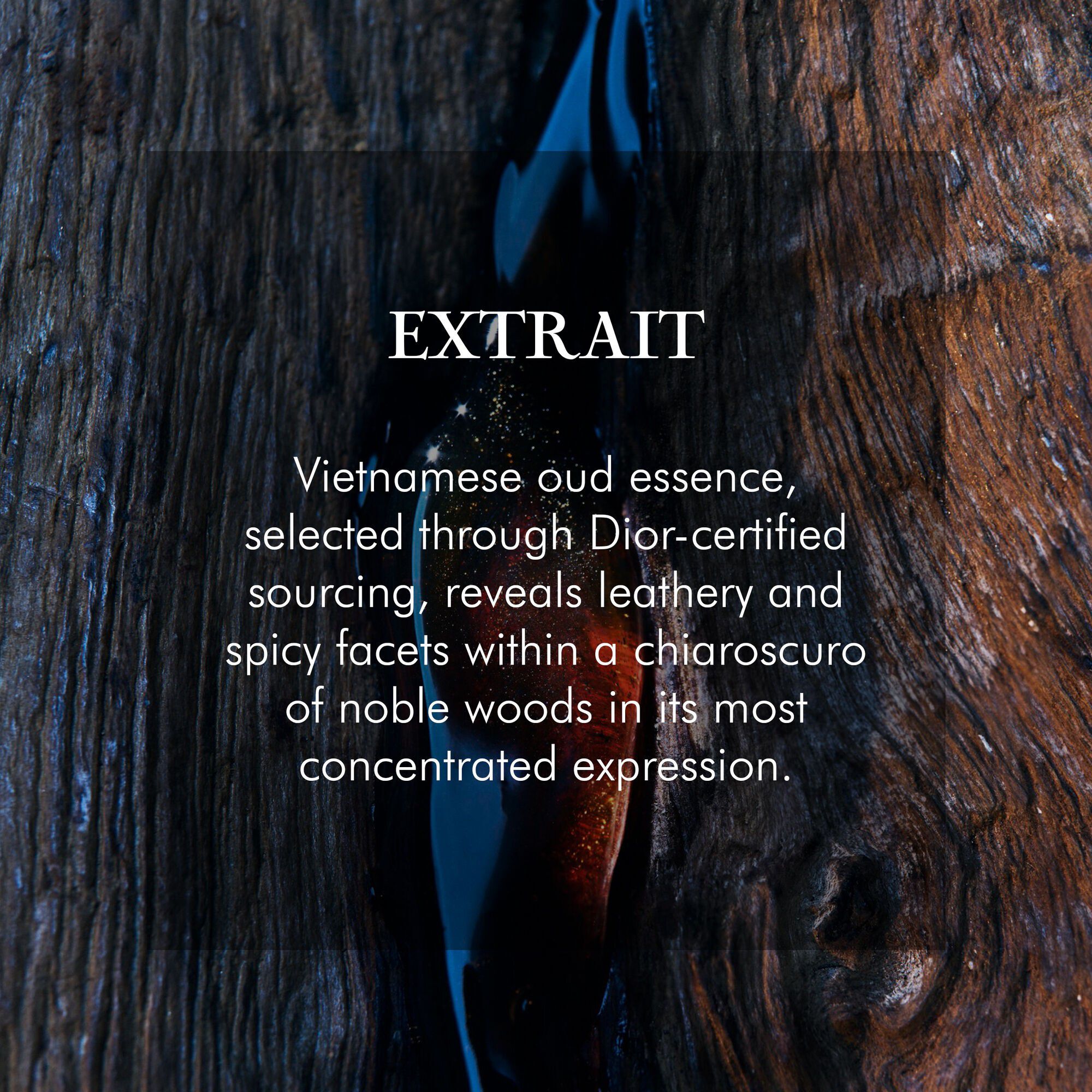 Sauvage Extrait