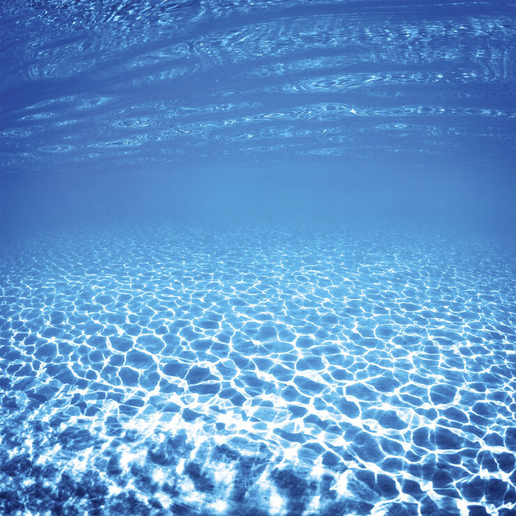 Maison Margiela Replica Sailing Day