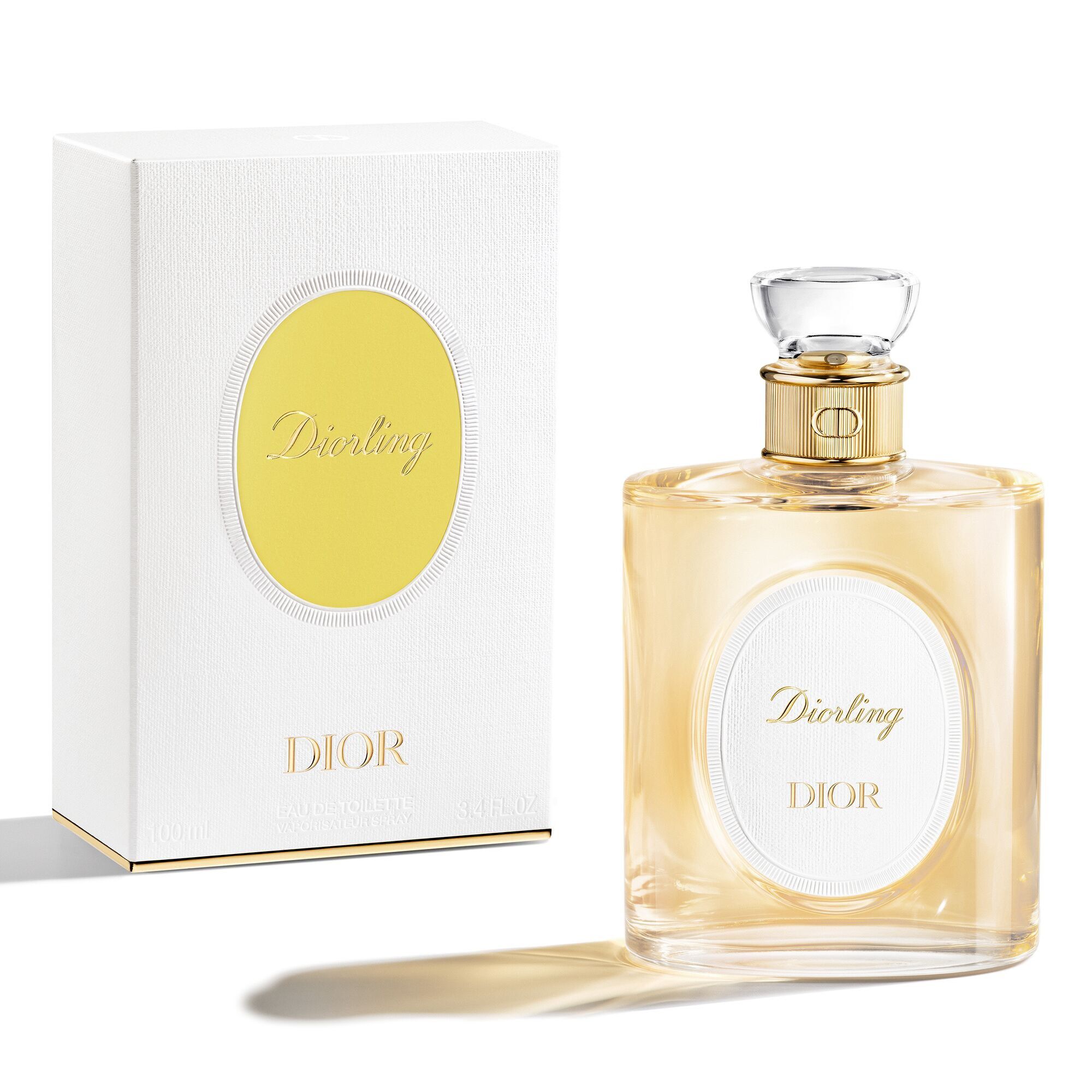 Diorling Eau de toilette - Chypre and leather notes
