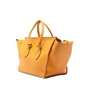 Celine Handbag