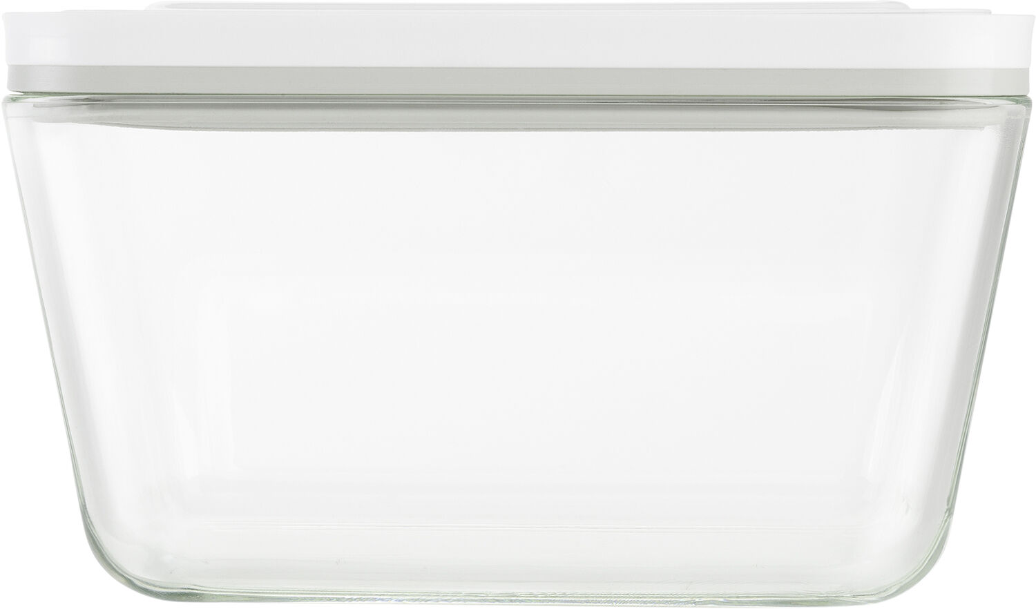 Fresh & Save Vakuum box L Graa Glas