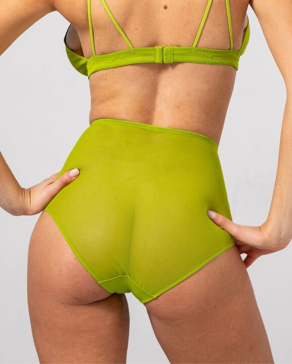 Mesh Highwaist Briefs