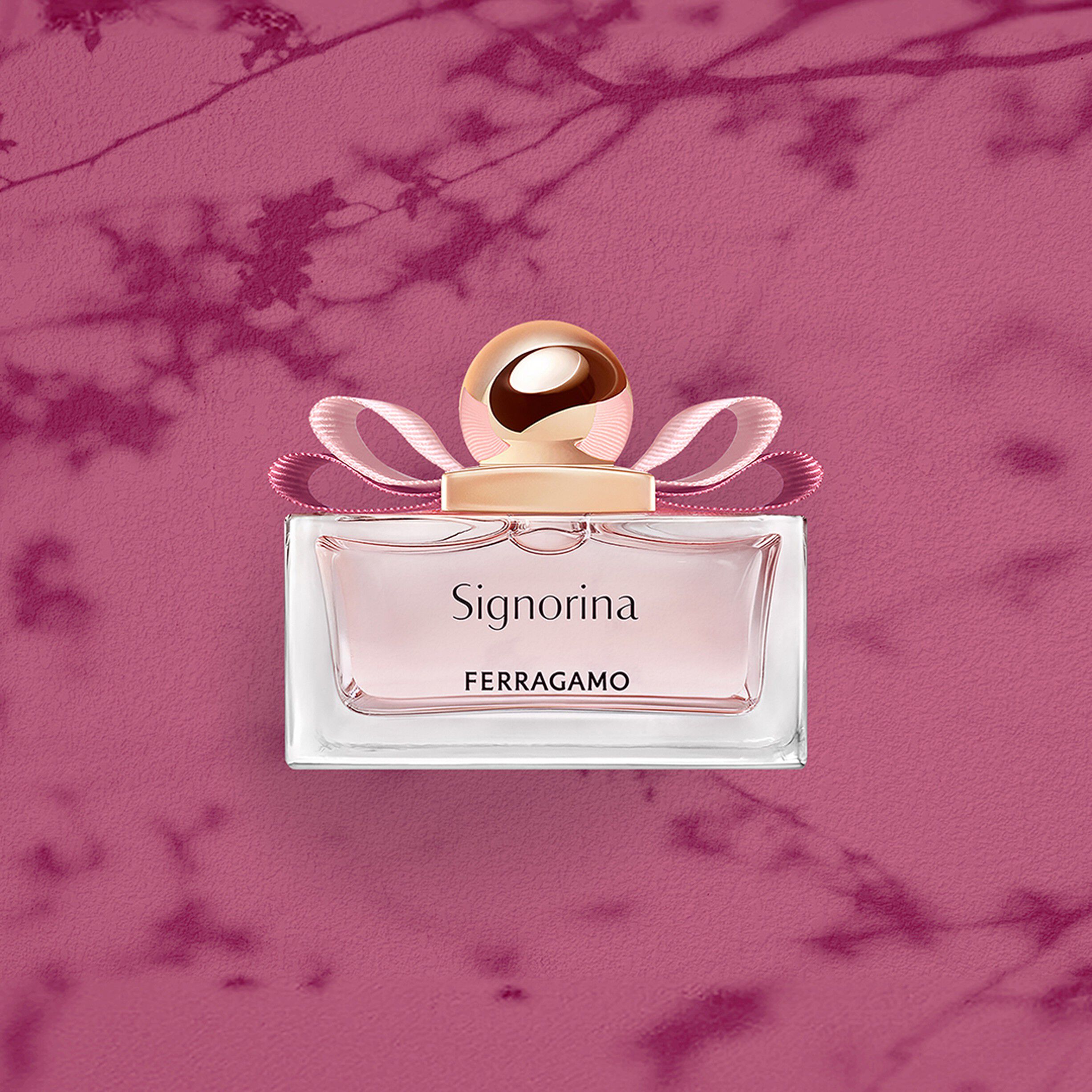 Signorina EDP